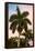 Palm Trees at Sunset - Florida-Philippe Hugonnard-Framed Premier Image Canvas