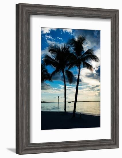 Palm Trees at Sunset - Florida-Philippe Hugonnard-Framed Photographic Print