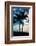 Palm Trees at Sunset - Florida-Philippe Hugonnard-Framed Photographic Print