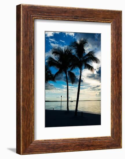 Palm Trees at Sunset - Florida-Philippe Hugonnard-Framed Photographic Print