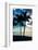 Palm Trees at Sunset - Florida-Philippe Hugonnard-Framed Photographic Print