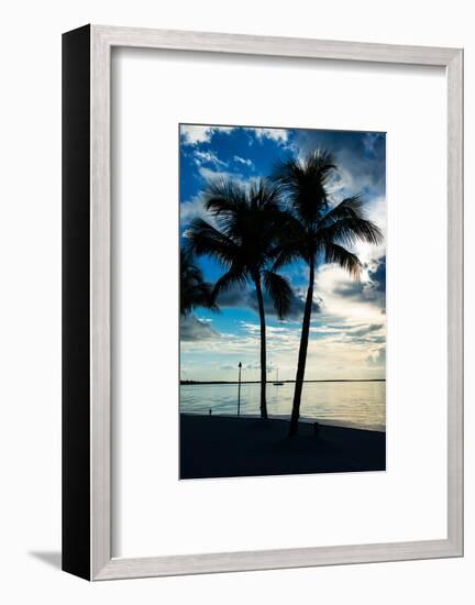 Palm Trees at Sunset - Florida-Philippe Hugonnard-Framed Photographic Print