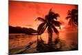 Photographic Print