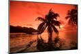 Photographic Print
