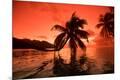 Photographic Print