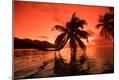 Photographic Print