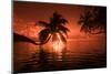 Palm trees at sunset, Moorea, Tahiti, French Polynesia-Panoramic Images-Mounted Photographic Print