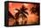 Palm trees at sunset, Moorea, Tahiti, French Polynesia-Panoramic Images-Framed Premier Image Canvas