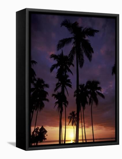 Palm Trees at Sunset, Puerto Rico-Greg Johnston-Framed Premier Image Canvas