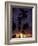 Palm Trees at Sunset, Puerto Rico-Greg Johnston-Framed Photographic Print