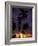 Palm Trees at Sunset, Puerto Rico-Greg Johnston-Framed Photographic Print