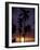 Palm Trees at Sunset, Puerto Rico-Greg Johnston-Framed Photographic Print