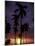 Palm Trees at Sunset, Puerto Rico-Greg Johnston-Mounted Photographic Print