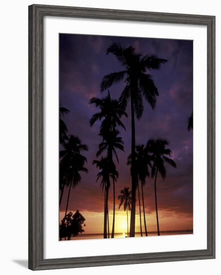 Palm Trees at Sunset, Puerto Rico-Greg Johnston-Framed Photographic Print