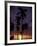 Palm Trees at Sunset, Puerto Rico-Greg Johnston-Framed Photographic Print