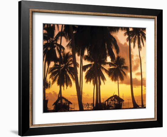 Palm Trees at Sunset, Zanzibar, Tanzania-Peter Adams-Framed Photographic Print