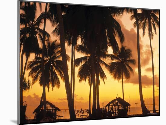 Palm Trees at Sunset, Zanzibar, Tanzania-Peter Adams-Mounted Photographic Print