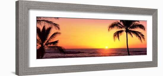 Palm Trees at the Coast at Sunset, Waikoloa, Hawaii County, Hawaii, USA-null-Framed Photographic Print