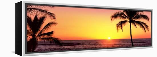 Palm Trees at the Coast at Sunset, Waikoloa, Hawaii County, Hawaii, USA-null-Framed Premier Image Canvas