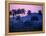 Palm Trees at Yumuri Valley at Sunset, Matanzas, Cuba-Rick Gerharter-Framed Premier Image Canvas