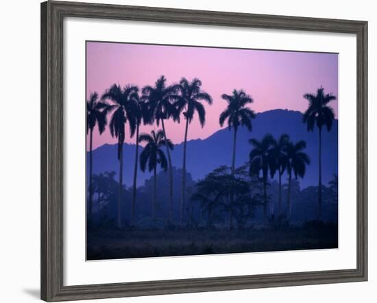 Palm Trees at Yumuri Valley at Sunset, Matanzas, Cuba-Rick Gerharter-Framed Photographic Print