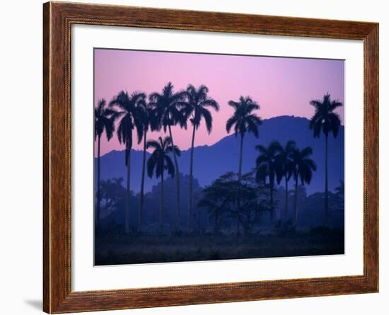 Palm Trees at Yumuri Valley at Sunset, Matanzas, Cuba-Rick Gerharter-Framed Photographic Print