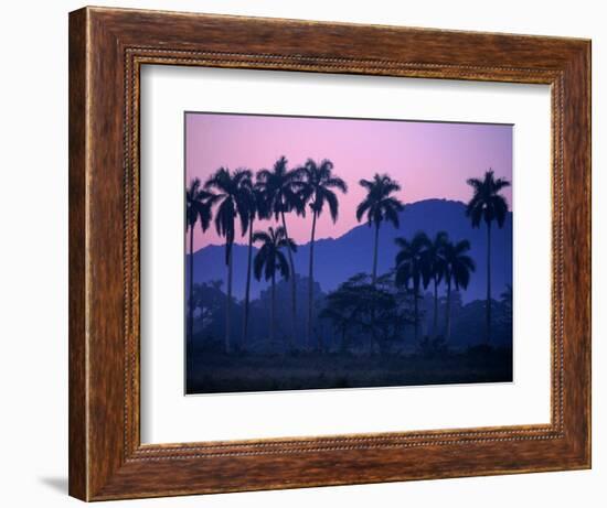 Palm Trees at Yumuri Valley at Sunset, Matanzas, Cuba-Rick Gerharter-Framed Photographic Print