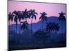 Palm Trees at Yumuri Valley at Sunset, Matanzas, Cuba-Rick Gerharter-Mounted Photographic Print