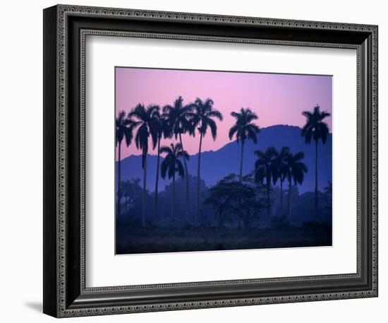 Palm Trees at Yumuri Valley at Sunset, Matanzas, Cuba-Rick Gerharter-Framed Photographic Print