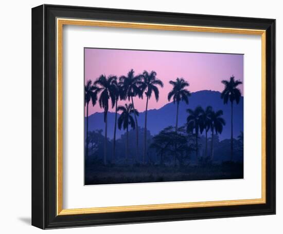 Palm Trees at Yumuri Valley at Sunset, Matanzas, Cuba-Rick Gerharter-Framed Photographic Print