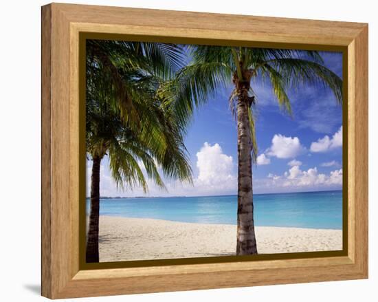 Palm Trees, Beach and Still Turquoise Sea, Seven Mile Beach, Cayman Islands, West Indies-Ruth Tomlinson-Framed Premier Image Canvas