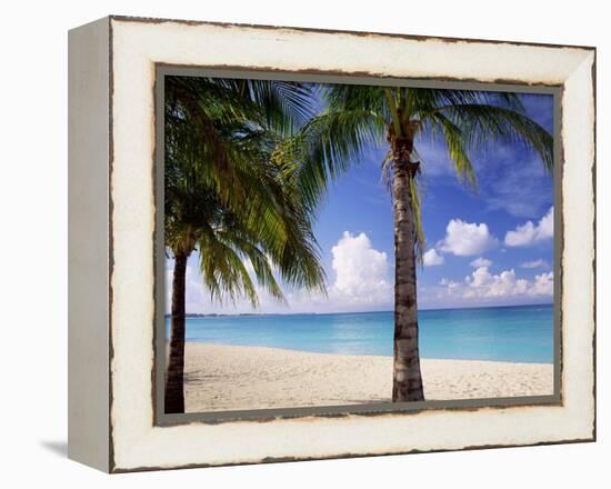 Palm Trees, Beach and Still Turquoise Sea, Seven Mile Beach, Cayman Islands, West Indies-Ruth Tomlinson-Framed Premier Image Canvas