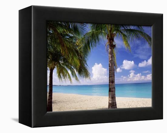 Palm Trees, Beach and Still Turquoise Sea, Seven Mile Beach, Cayman Islands, West Indies-Ruth Tomlinson-Framed Premier Image Canvas