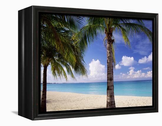 Palm Trees, Beach and Still Turquoise Sea, Seven Mile Beach, Cayman Islands, West Indies-Ruth Tomlinson-Framed Premier Image Canvas