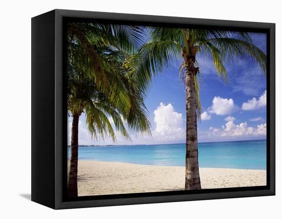 Palm Trees, Beach and Still Turquoise Sea, Seven Mile Beach, Cayman Islands, West Indies-Ruth Tomlinson-Framed Premier Image Canvas
