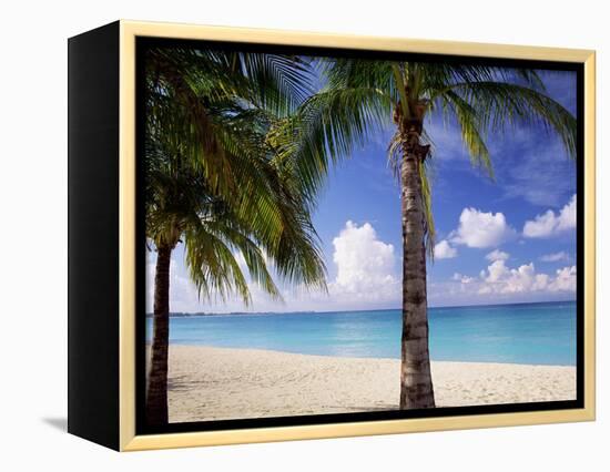 Palm Trees, Beach and Still Turquoise Sea, Seven Mile Beach, Cayman Islands, West Indies-Ruth Tomlinson-Framed Premier Image Canvas