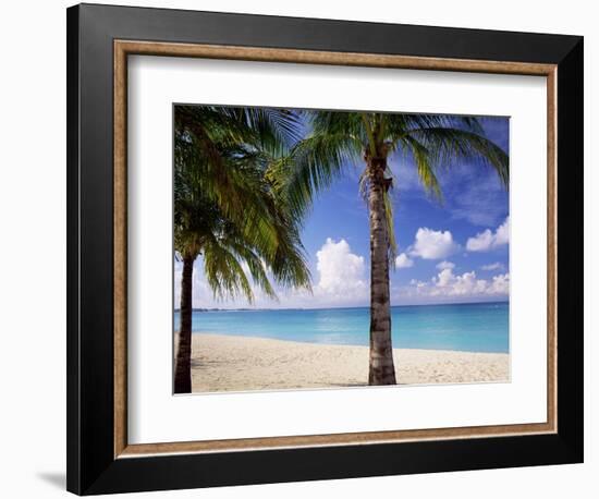 Palm Trees, Beach and Still Turquoise Sea, Seven Mile Beach, Cayman Islands, West Indies-Ruth Tomlinson-Framed Photographic Print