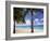 Palm Trees, Beach and Still Turquoise Sea, Seven Mile Beach, Cayman Islands, West Indies-Ruth Tomlinson-Framed Photographic Print