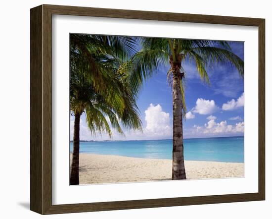 Palm Trees, Beach and Still Turquoise Sea, Seven Mile Beach, Cayman Islands, West Indies-Ruth Tomlinson-Framed Photographic Print