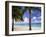 Palm Trees, Beach and Still Turquoise Sea, Seven Mile Beach, Cayman Islands, West Indies-Ruth Tomlinson-Framed Photographic Print