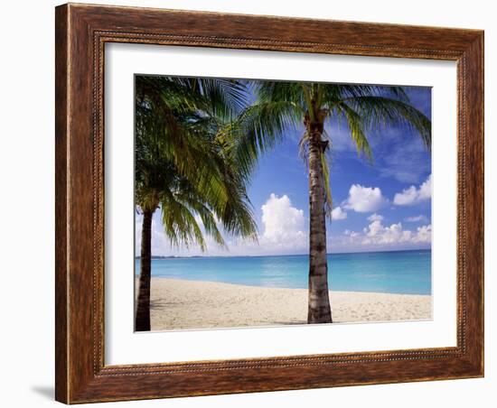 Palm Trees, Beach and Still Turquoise Sea, Seven Mile Beach, Cayman Islands, West Indies-Ruth Tomlinson-Framed Photographic Print