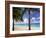 Palm Trees, Beach and Still Turquoise Sea, Seven Mile Beach, Cayman Islands, West Indies-Ruth Tomlinson-Framed Photographic Print