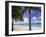 Palm Trees, Beach and Still Turquoise Sea, Seven Mile Beach, Cayman Islands, West Indies-Ruth Tomlinson-Framed Photographic Print