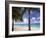 Palm Trees, Beach and Still Turquoise Sea, Seven Mile Beach, Cayman Islands, West Indies-Ruth Tomlinson-Framed Photographic Print