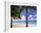 Palm Trees, Beach and Still Turquoise Sea, Seven Mile Beach, Cayman Islands, West Indies-Ruth Tomlinson-Framed Photographic Print