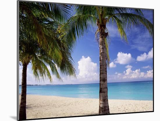 Palm Trees, Beach and Still Turquoise Sea, Seven Mile Beach, Cayman Islands, West Indies-Ruth Tomlinson-Mounted Photographic Print