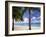 Palm Trees, Beach and Still Turquoise Sea, Seven Mile Beach, Cayman Islands, West Indies-Ruth Tomlinson-Framed Photographic Print