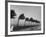 Palm Trees Blowing in the Wind During Hurricane in Florida-Ed Clark-Framed Photographic Print