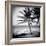 Palm Trees by the Beach at Bweju, Zanzibar, Tanzania, East Africa-Lee Frost-Framed Photographic Print