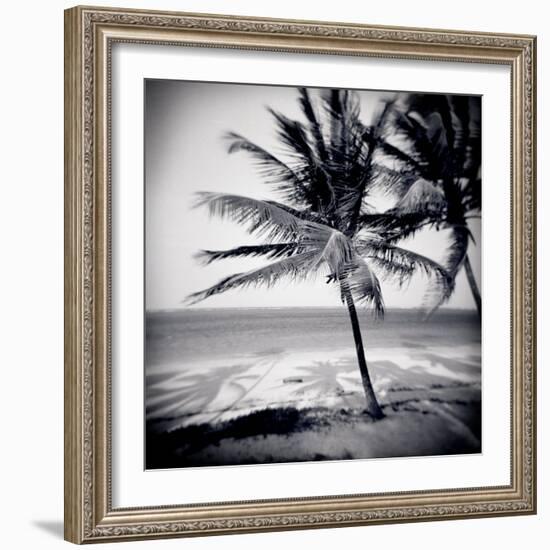 Palm Trees by the Beach at Bweju, Zanzibar, Tanzania, East Africa-Lee Frost-Framed Photographic Print